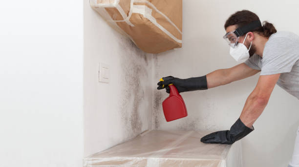 Professional Attic Mold Remediation technician working in Owings, MD